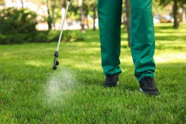 Best Mosquito Control Services  in Ko Olina, HI