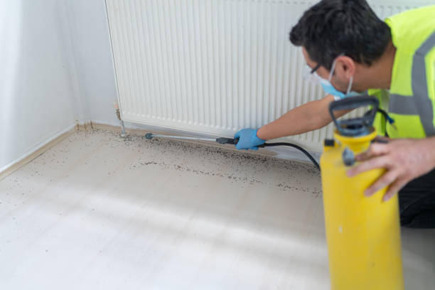 Best Commercial Pest Control Services  in Ko Olina, HI